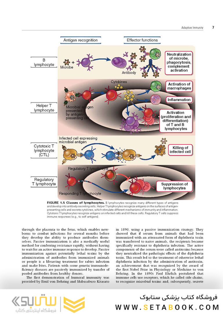Cellular and Molecular Immunology 9th Edition 2018