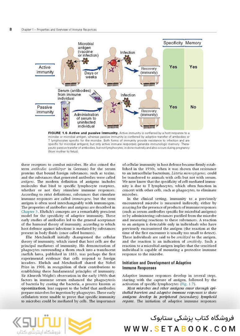 Cellular and Molecular Immunology 9th Edition 2018