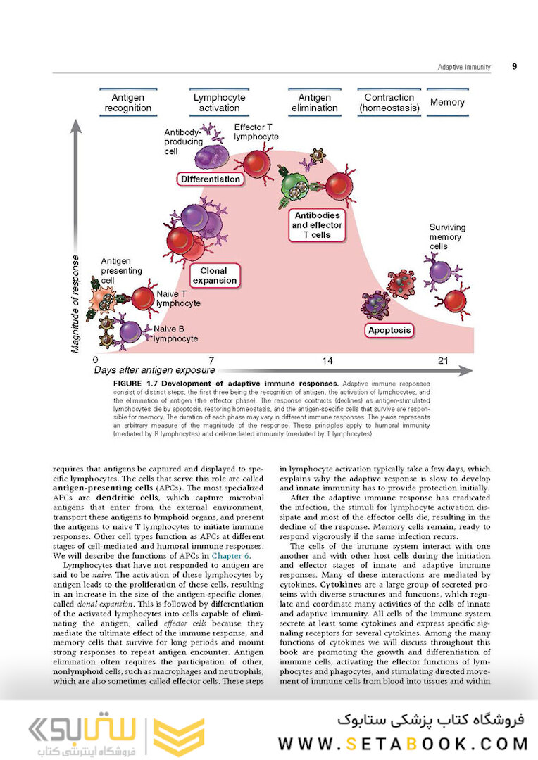 Cellular and Molecular Immunology 9th Edition 2018