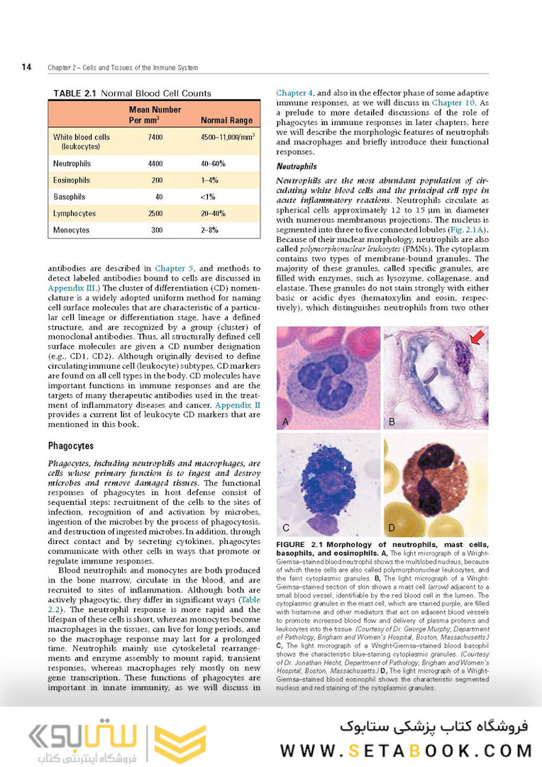 Cellular and Molecular Immunology 9th Edition 2018