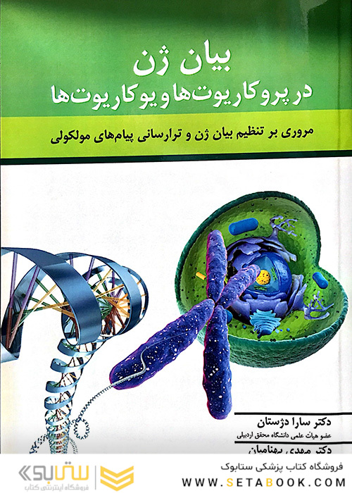 باکیولو ویروس ها و سلول های حشرات ابزاری توانمند در بیان ژن
