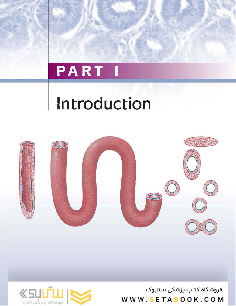 Atlas of Histology with Functional Correlations 2017