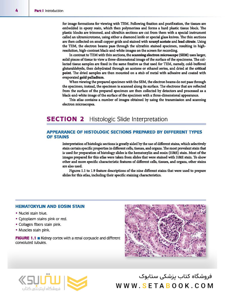 Atlas of Histology with Functional Correlations 2017