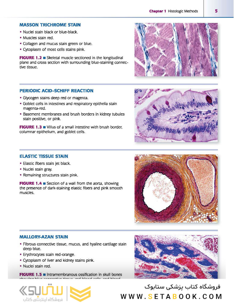 Atlas of Histology with Functional Correlations 2017