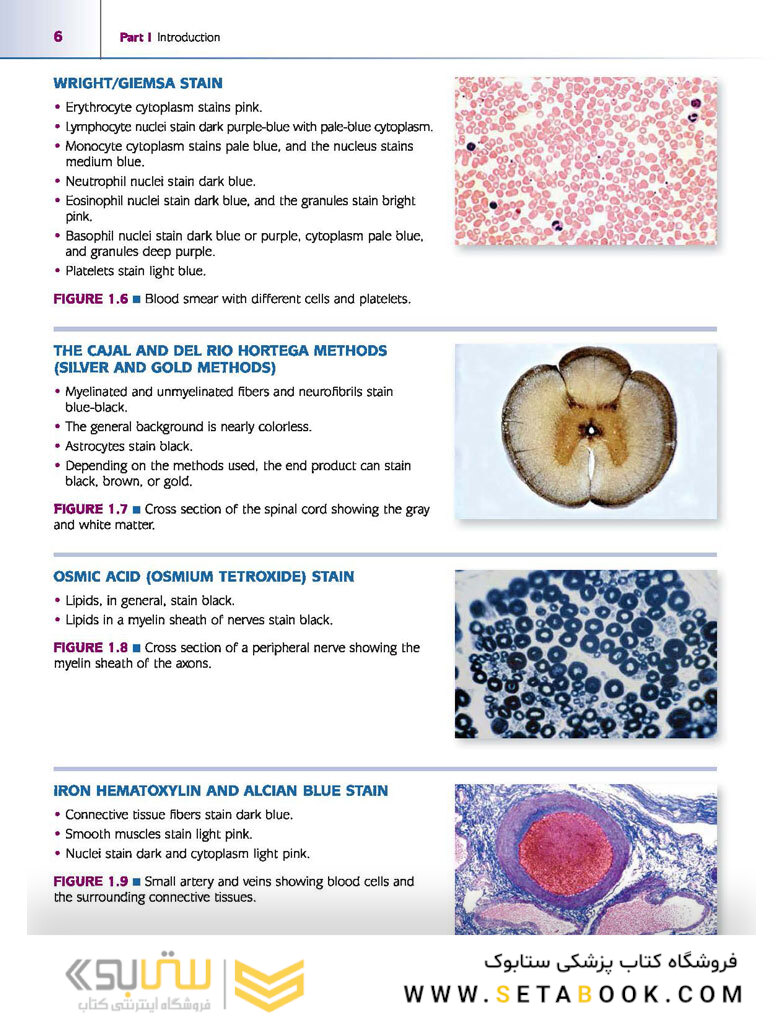 Atlas of Histology with Functional Correlations 2017
