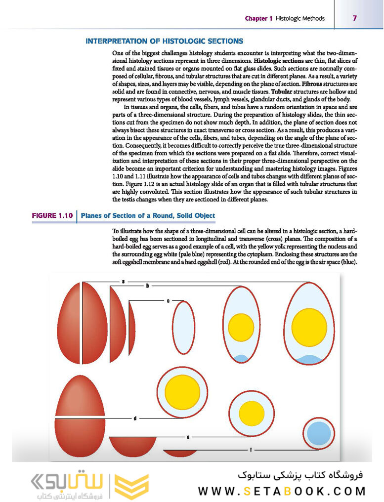 Atlas of Histology with Functional Correlations 2017