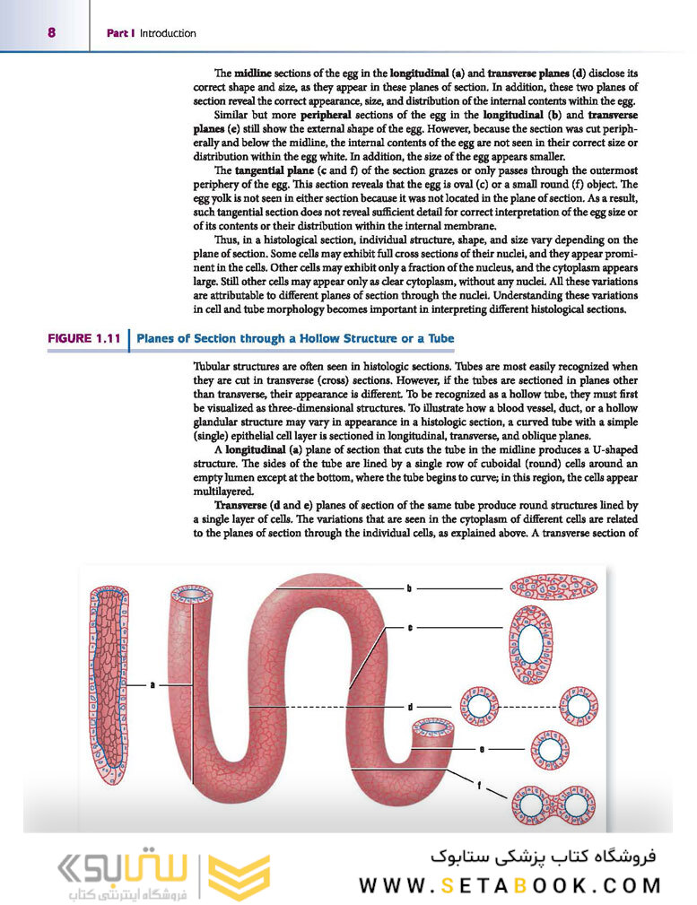 Atlas of Histology with Functional Correlations 2017