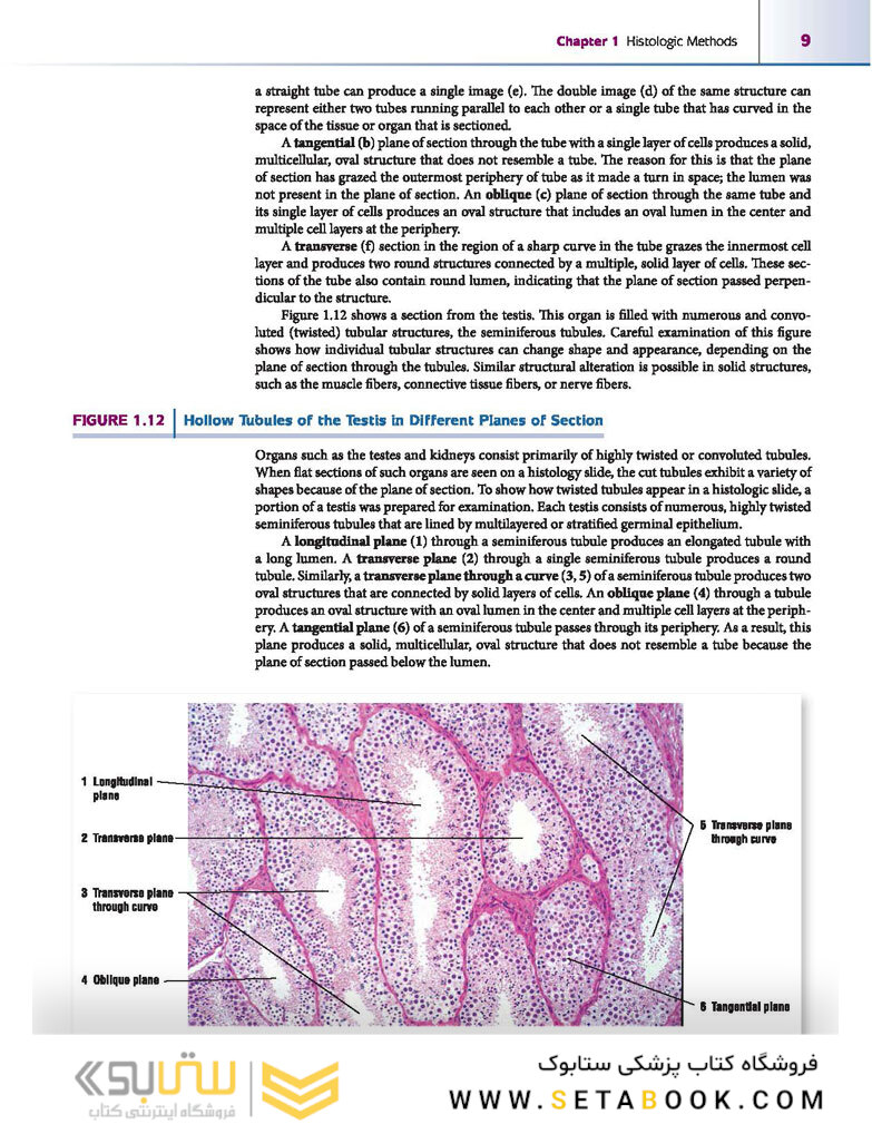 Atlas of Histology with Functional Correlations 2017