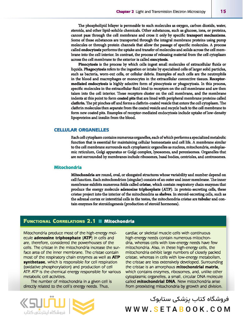 Atlas of Histology with Functional Correlations 2017