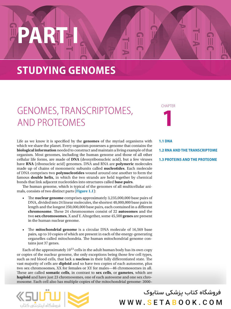 Genomes 4