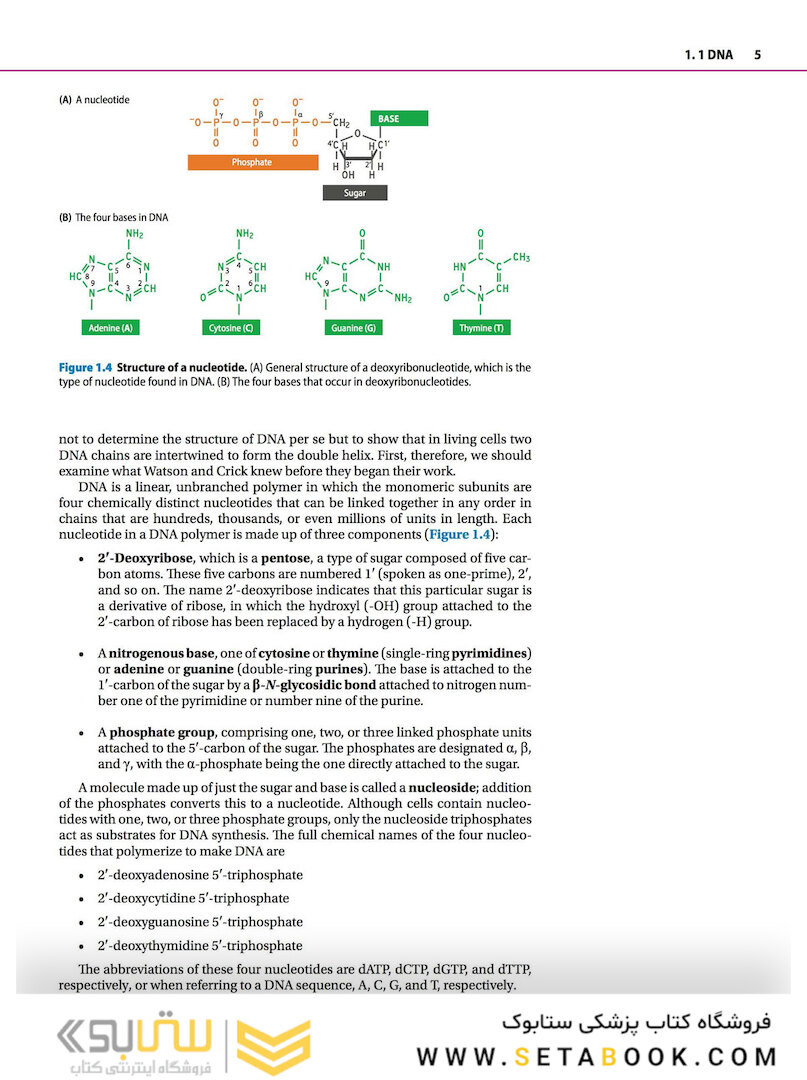 Genomes 4
