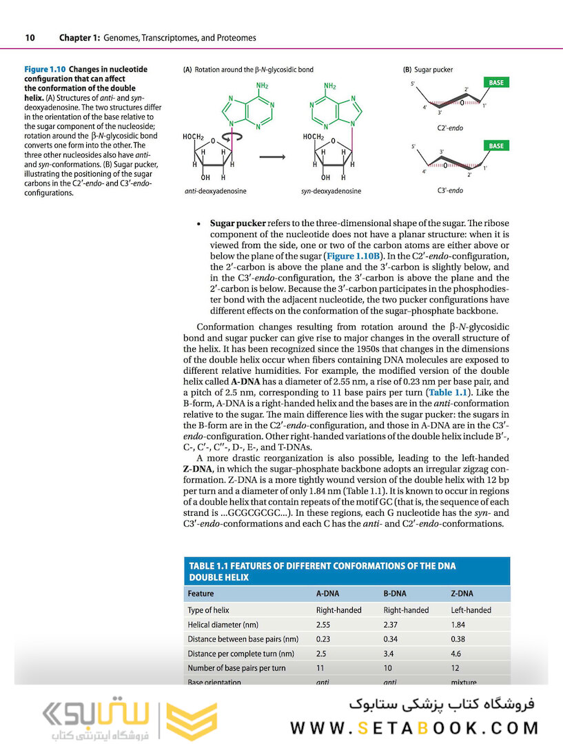Genomes 4