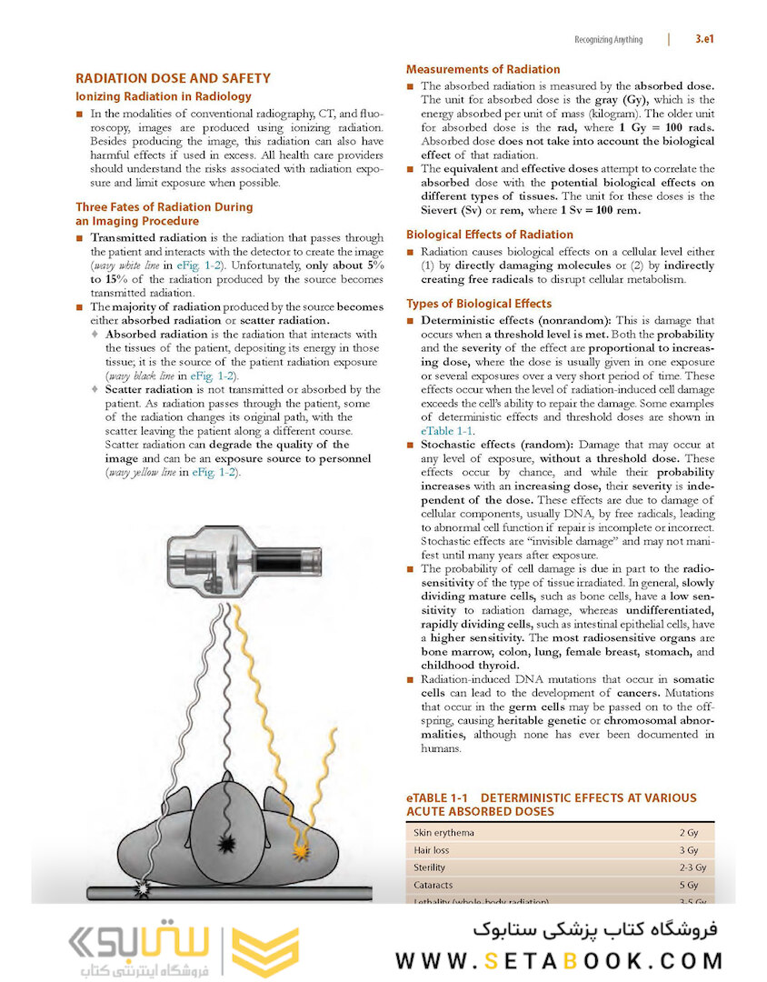Learning Radiology: Recognizing the Basics