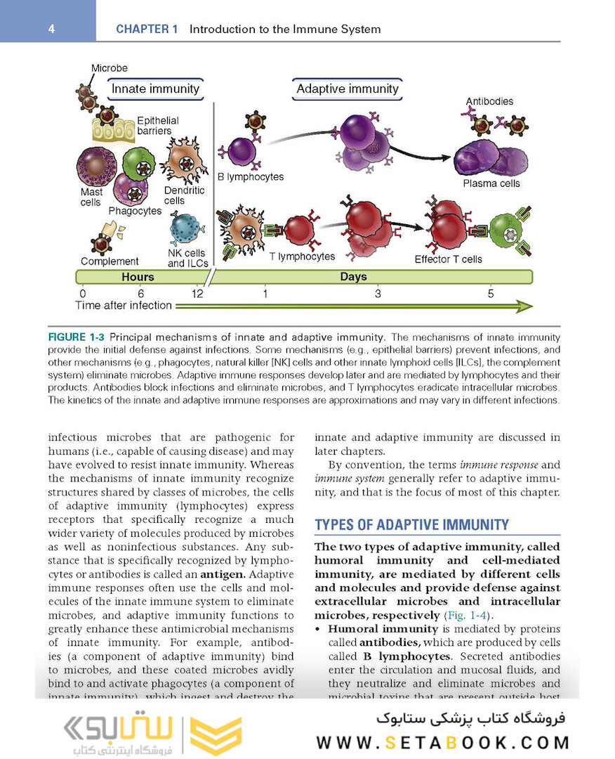 کتاب Basic Immunology: Functions and Disorders of the Immune System