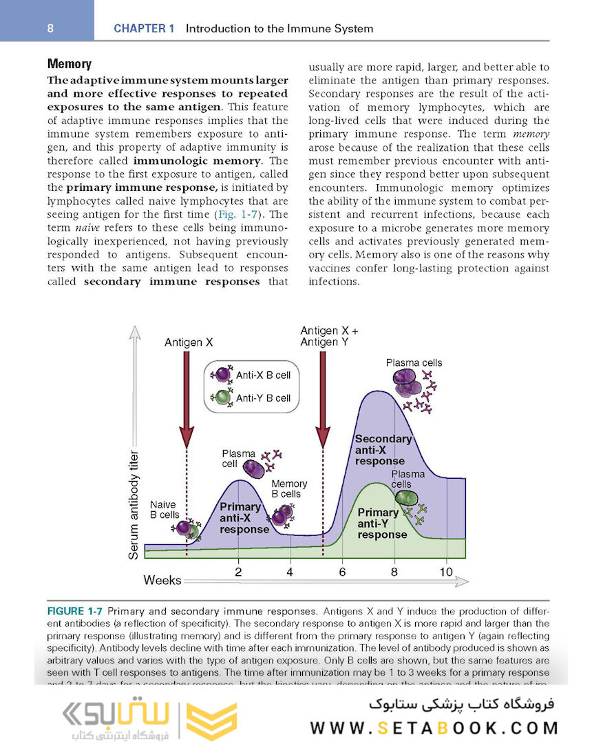 کتاب Basic Immunology: Functions and Disorders of the Immune System