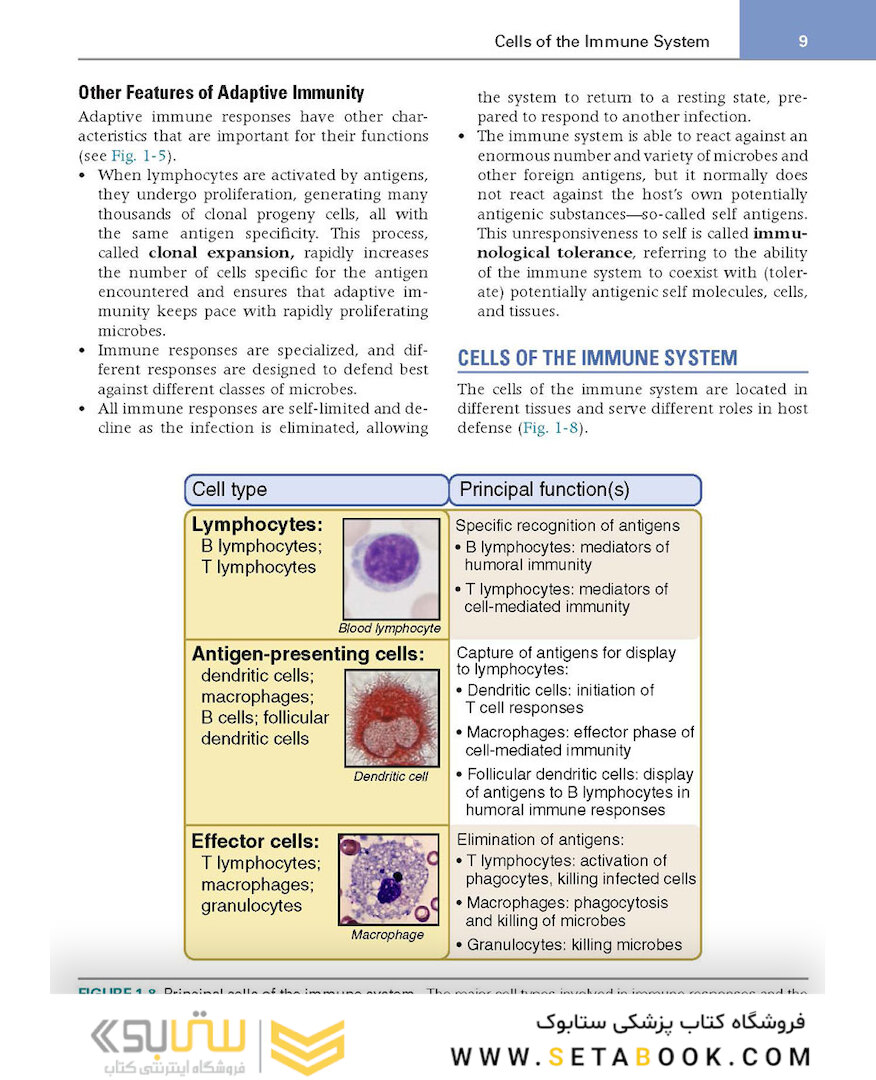 کتاب Basic Immunology: Functions and Disorders of the Immune System