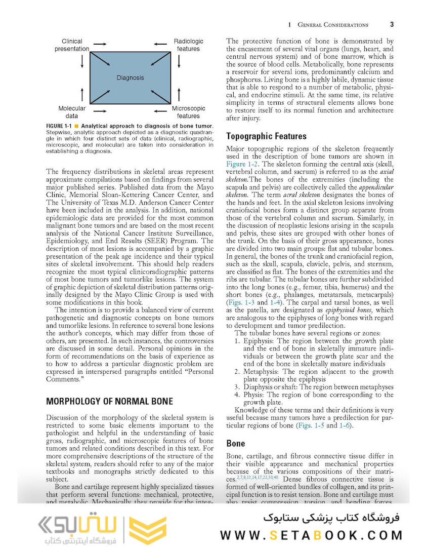 Dorfman and Czerniak