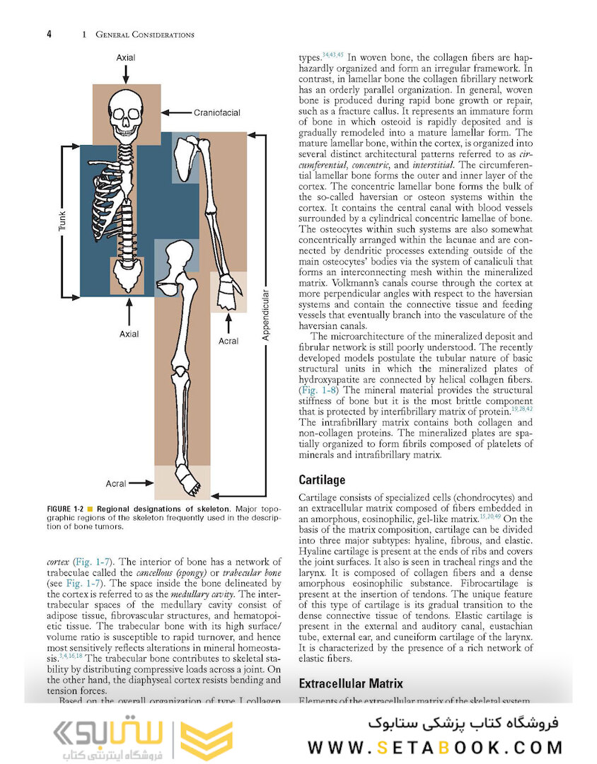 Dorfman and Czerniak