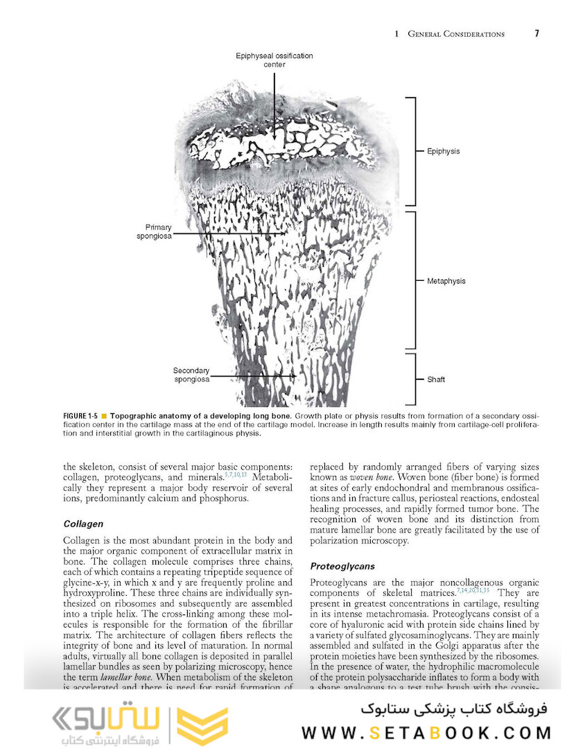 Dorfman and Czerniak