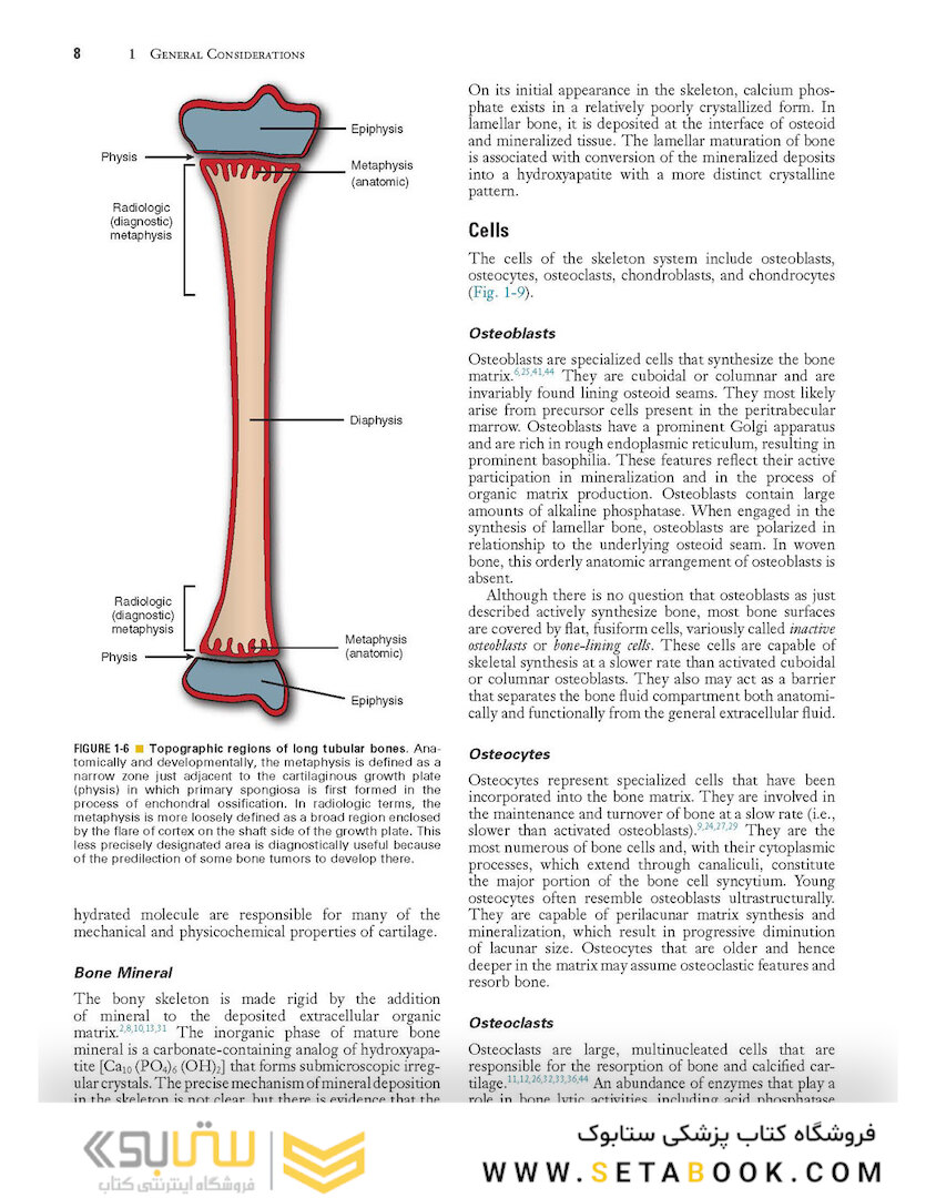 Dorfman and Czerniak