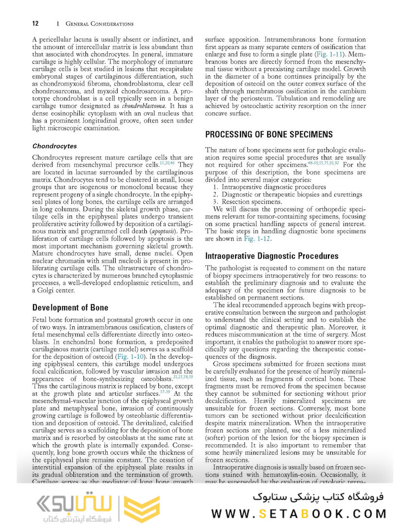 Dorfman and Czerniak