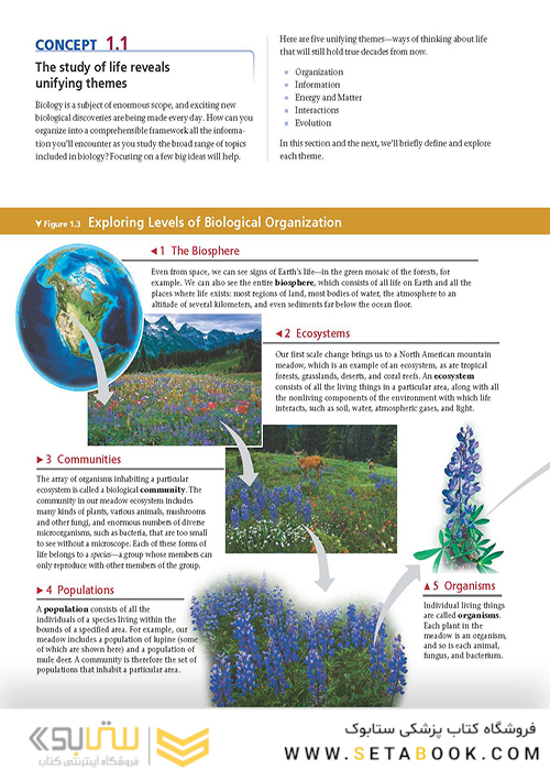 Campbell Biology (11th Edition) 2016 بیولوژی کمپل