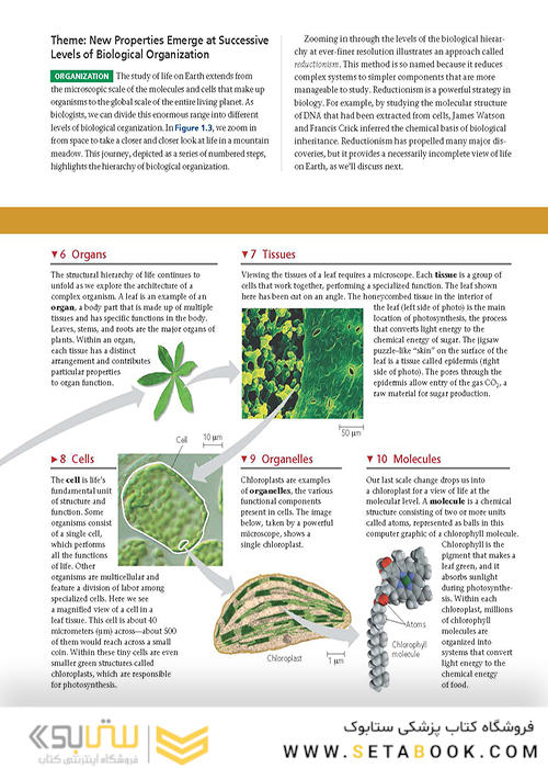 Campbell Biology (11th Edition) 2016 بیولوژی کمپل