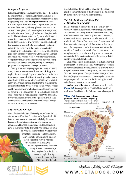 Campbell Biology (11th Edition) 2016 بیولوژی کمپل