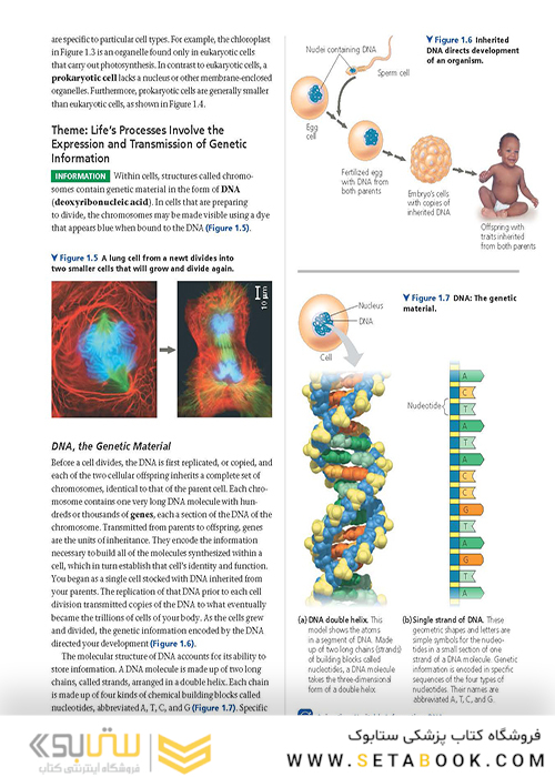 Campbell Biology (11th Edition) 2016 بیولوژی کمپل