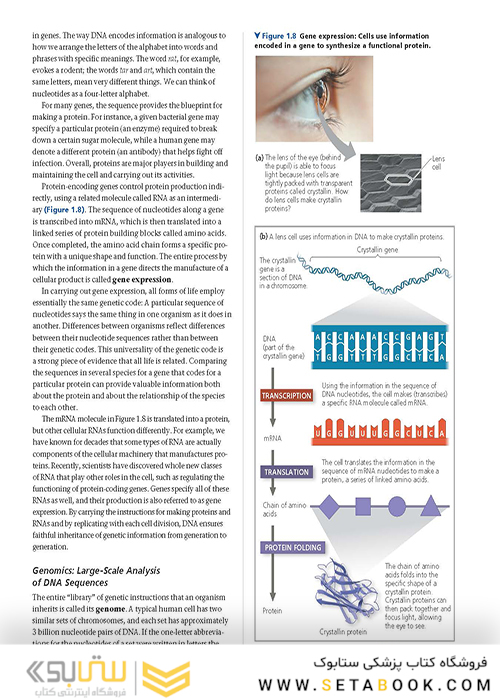 Campbell Biology (11th Edition) 2016 بیولوژی کمپل