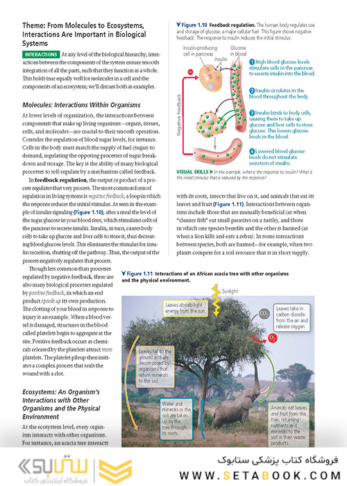 Campbell Biology (11th Edition) 2016 بیولوژی کمپل