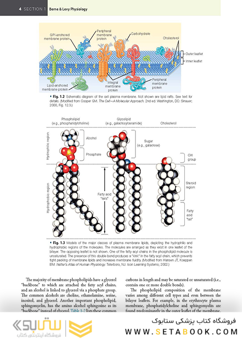 Berne - Levy Physiology (فیزیولوژی برن و لوی)