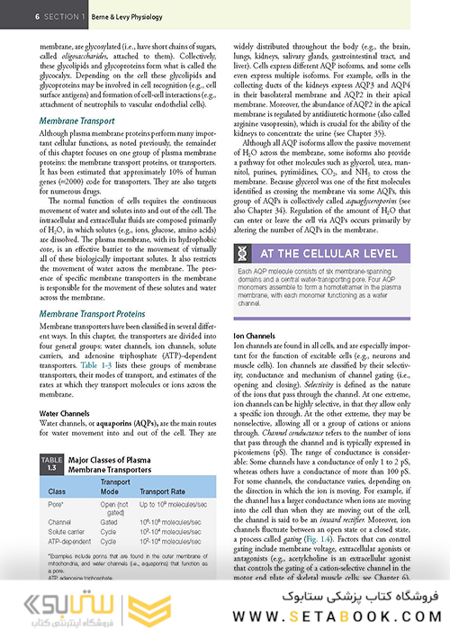 Berne - Levy Physiology (فیزیولوژی برن و لوی)
