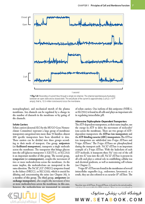 Berne - Levy Physiology (فیزیولوژی برن و لوی)