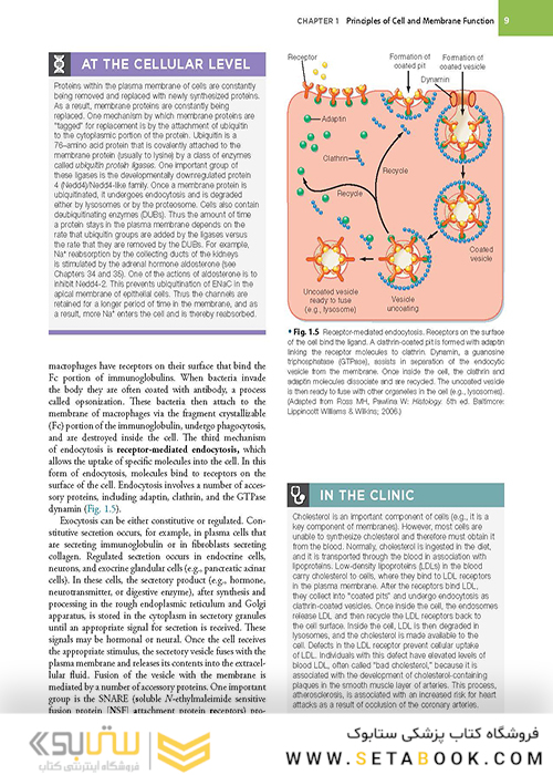 Berne - Levy Physiology (فیزیولوژی برن و لوی)