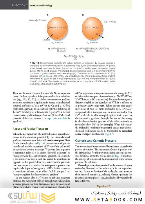 Berne - Levy Physiology (فیزیولوژی برن و لوی)