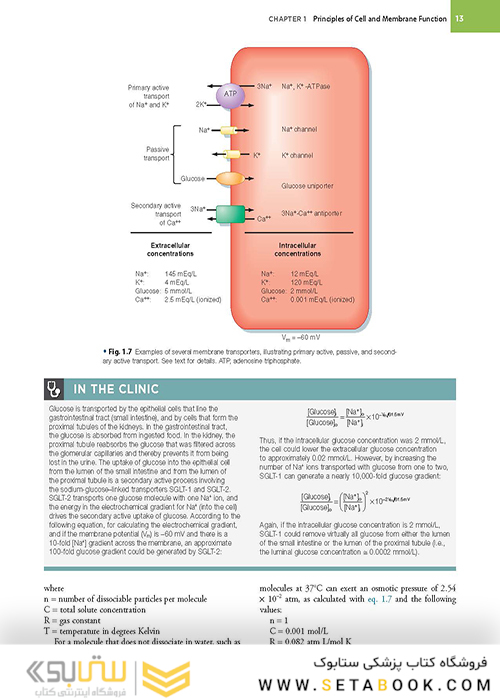 Berne - Levy Physiology (فیزیولوژی برن و لوی)