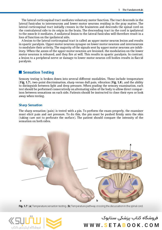 Physical Examination of the Spine 2nd Edicion