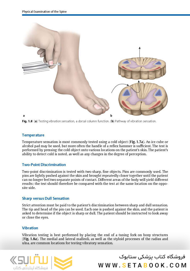 Physical Examination of the Spine 2nd Edicion