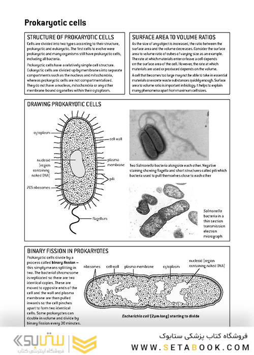 کتاب IB Biology Study Guide Oxford IB Diploma