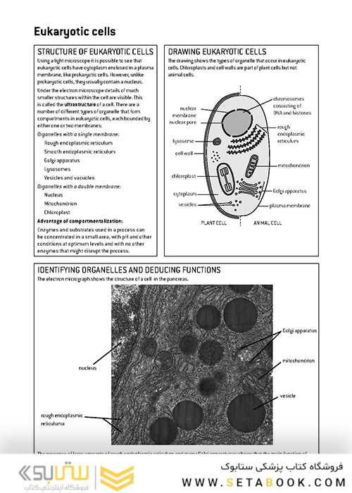 کتاب IB Biology Study Guide Oxford IB Diploma