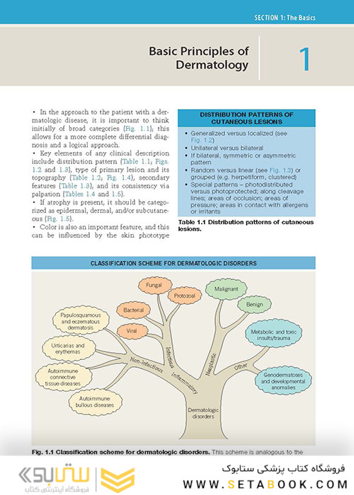 ضروریات پوستی بولونیا Dermatology Essentials 2014