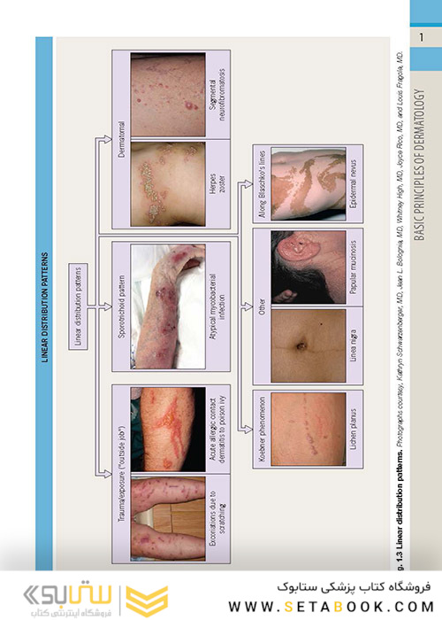 ضروریات پوستی بولونیا Dermatology Essentials 2014