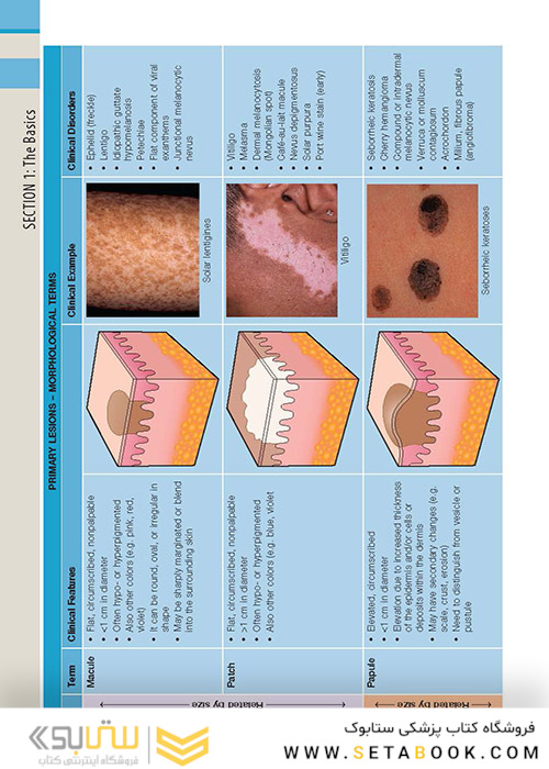 ضروریات پوستی بولونیا Dermatology Essentials 2014