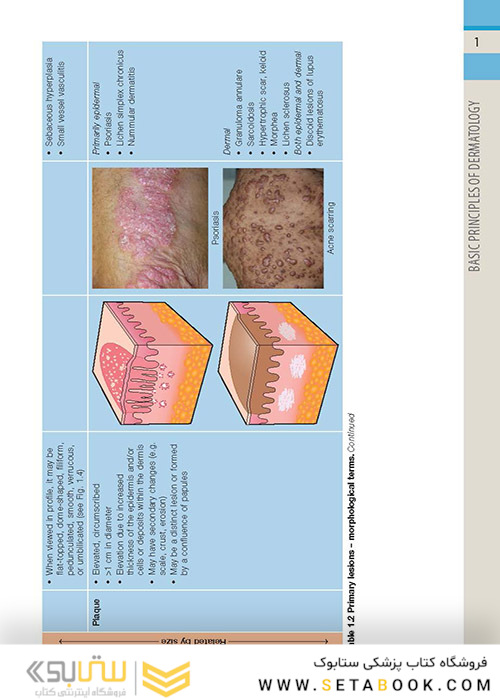 ضروریات پوستی بولونیا Dermatology Essentials 2014