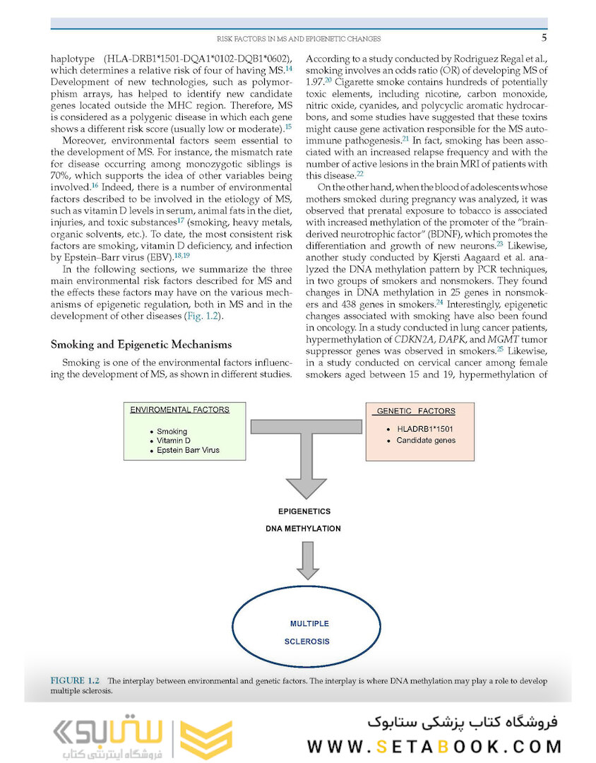Nutrition and Lifestyle in Neurological Autoimmune Diseases : Multiple Sclerosis
