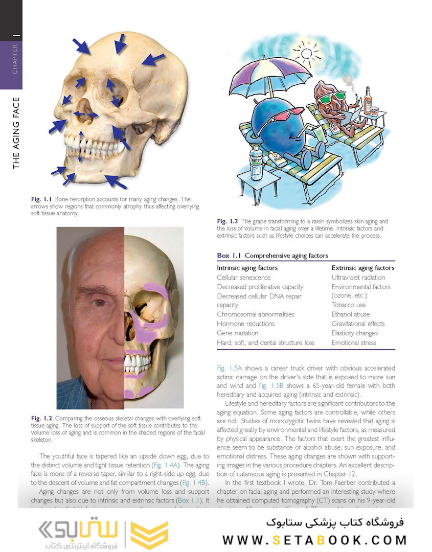 Cosmetic Facial Surgery 2nd Edicion