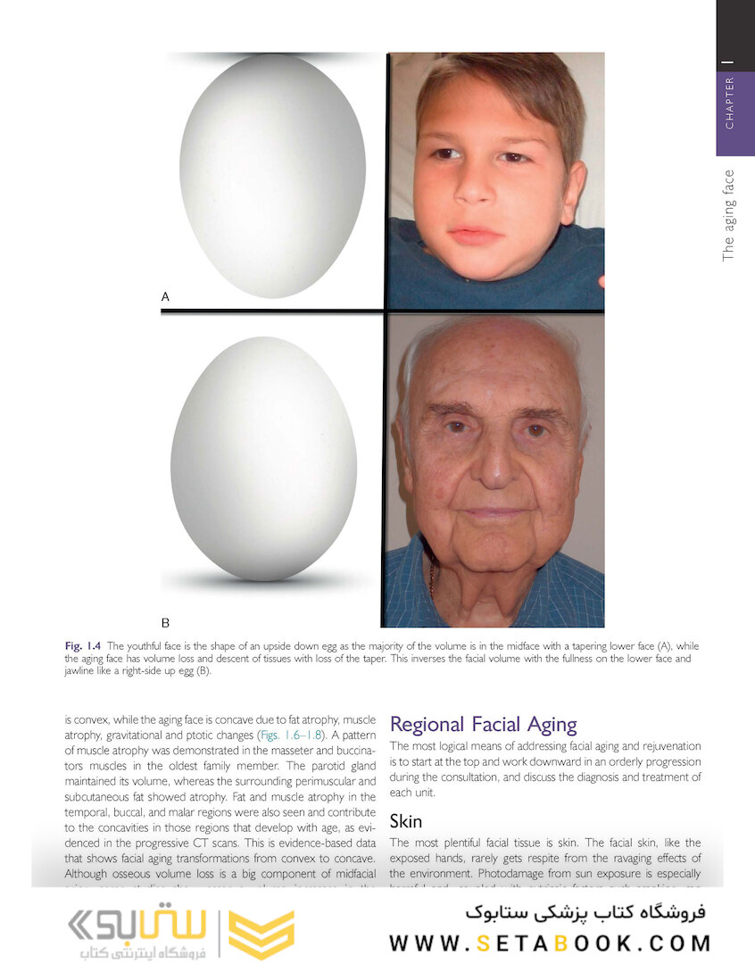 Cosmetic Facial Surgery 2nd Edicion