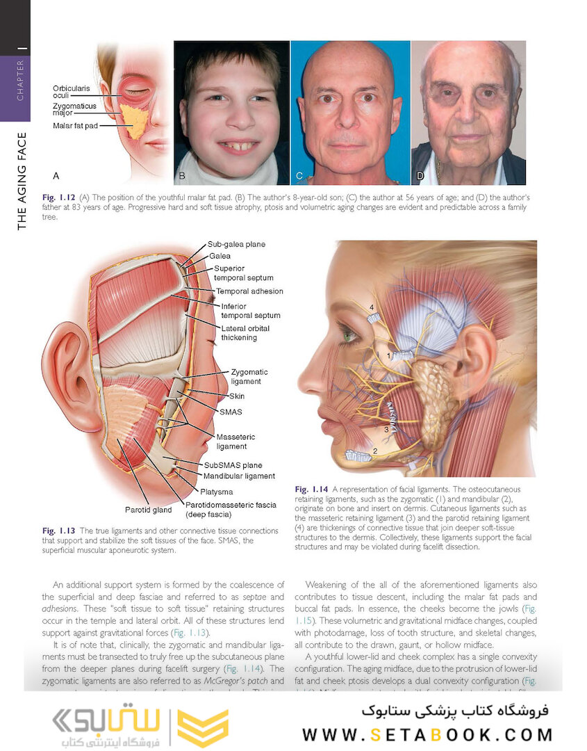 Cosmetic Facial Surgery 2nd Edicion