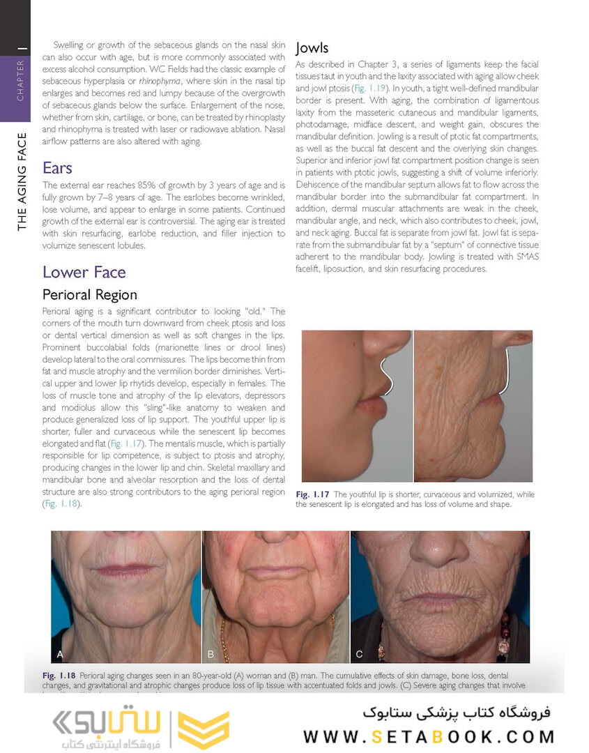 Cosmetic Facial Surgery 2nd Edicion